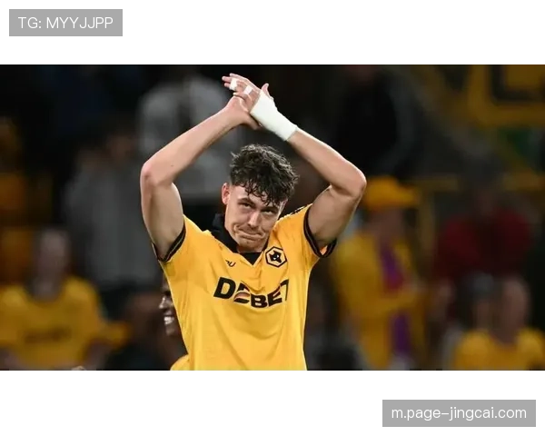 狼队出售拉尔森获4800万镑 阿姆斯特朗戈梅斯着眼未来